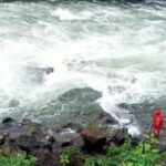 ‘സ്വന്തമായി ട്രാൻസ്ഫോര്‍മര്‍ കൊണ്ടുവന്ന് വയ്ക്കൂ’; വൈദ്യുതി തടസത്തെക്കുറിച്ച്‌ പറഞ്ഞ യുപി മന്ത്രിയോട് ജൂനിയര്‍ എഞ്ചിനിയര്‍, സസ്പെൻഷൻ