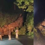 ഇന്ത്യൻ കമ്ബനികളുടെ ഉപഗ്രഹങ്ങള്‍ ഭ്രമണപഥത്തില്‍; വൻ മുന്നേറ്റം, വീഡിയോ പുറത്ത്