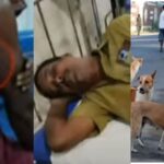കൊച്ചിയിലെ ഗതാഗതക്കുരുക്ക്; സിഗ്നല്‍ ഓഫാക്കി പോലീസുകാര്‍ നേരിട്ടിറങ്ങണമെന്ന് ഹൈക്കോടതി
