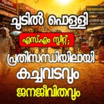 നരിക്കുനി: മൂർഖൻകുണ്ട് തൊണ്ടിപ്പറമ്പത്ത് പരേതനായ അദ്റു മുസ്ലിയാരുടെ ഭാര്യ പാത്തേയ് (79) മരണപ്പെട്ടു