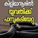 വെളളനാട് കാൽനട യാത്രികരെ ബൈക്ക് ഇടിച്ച് തെറിപ്പിച്ച സംഭവം; ഗുരുതരമായി പരിക്കേറ്റ വയോധിക മരിച്ചു