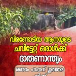 സംസ്ഥാനത്ത് ഇന്നും വേനല്‍മഴയ്ക്ക് സാധ്യത; എട്ട് ജില്ലകളില്‍ യെല്ലോ അലേര്‍ട്ട്