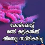 പാകിസ്താനിൽ സ്‌ഫോടക വസ്തു നിറച്ച കാർ ട്രെയിനിൽ ഇടിച്ചു കയറ്റി; 24 പേർ കൊല്ലപ്പെട്ടു; നൂറോളം പേർക്ക് പരിക്ക്