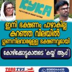ശക്തമായ മഴ: പാലത്ത് മരം കടപുഴകി വീണ് നാല് വൈദ്യുത പോസ്റ്റുകൾ തകർന്നു