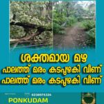 കോഴിക്കോട് റൂറൽ ഉപജില്ലാതല പ്രവേശനോത്സവം