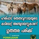 കോഴിക്കോടെ നിപ ബാധ: കേന്ദ്ര സംഘം ഇന്നെത്തും; സംസ്ഥാനത്ത് പകർച്ചപ്പനി വ്യാപനം തുടരുന്നു