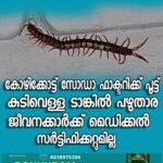 ദഹനവ്യവസ്ഥയെ തകർക്കുന്ന ഷിഗെല്ല: കോഴിക്കോട്ട് രോഗബാധിതരുടെ എണ്ണം 49 ആയി; പ്രതിരോധ നടപടികൾ ശക്തമാക്കി ആരോഗ്യവകുപ്പ്